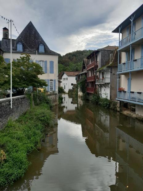 Maison Ichabelenia Salies-de-Bearn Ngoại thất bức ảnh